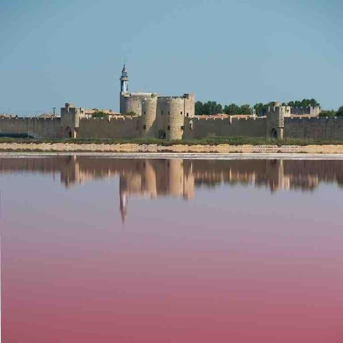 Maison Chaleureuse A 5 Mins Des Remparts Aigues-Mortes Εξωτερικό φωτογραφία