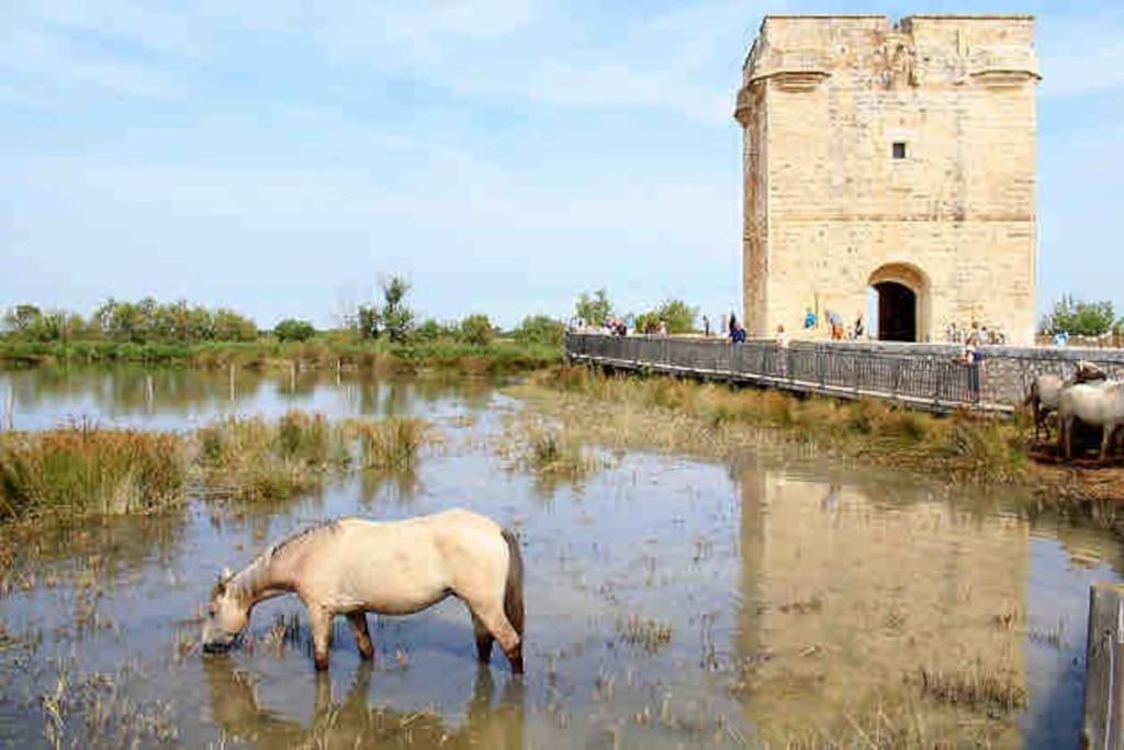 Maison Chaleureuse A 5 Mins Des Remparts Aigues-Mortes Εξωτερικό φωτογραφία